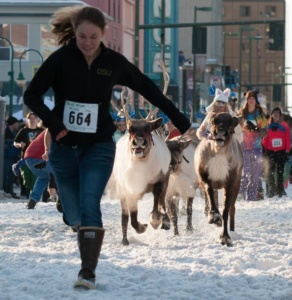 Running of the Reindeer 2013 Roy Neese min