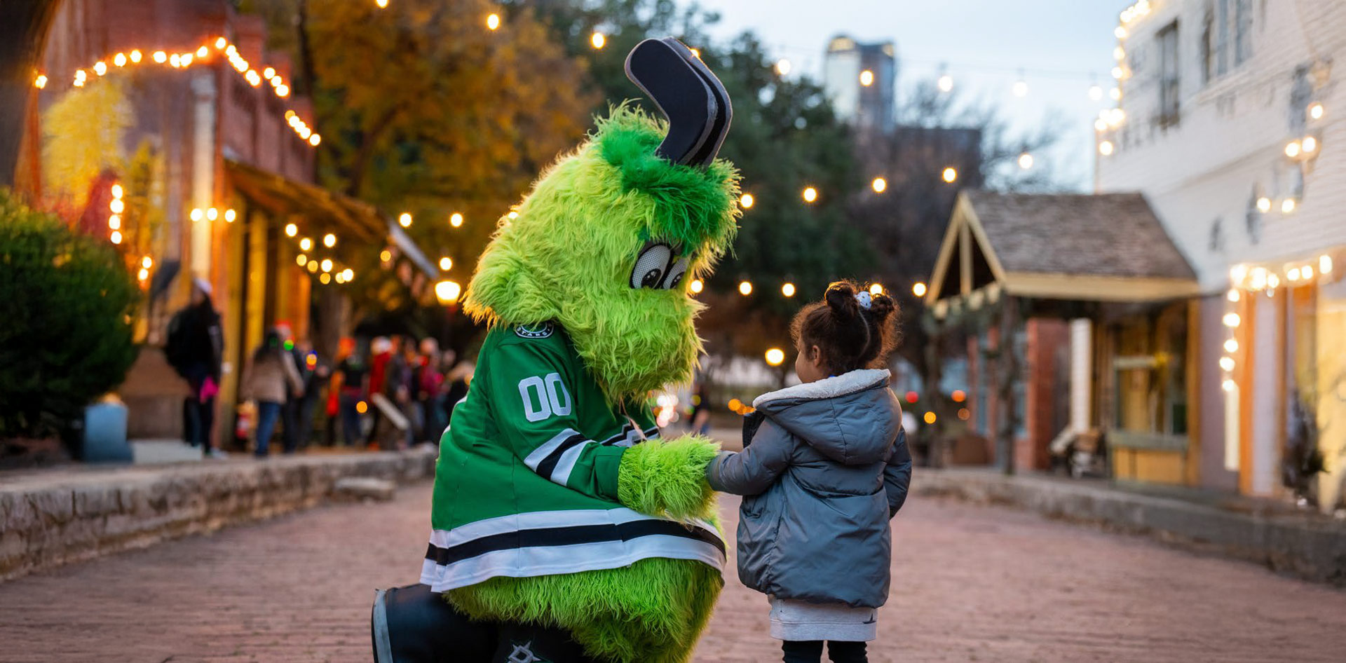 Dallas Stars Partnership